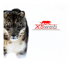 Агентство контекстной рекламы x5web